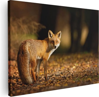 Artaza Canvas Schilderij Vos - 40x30 cm - Klein - Wanddecoratie Herfst - Muurdecoratie Dieren - Schilderijen Op Canvas Bos