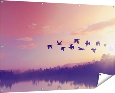 Gards Tuinposter Silhouet Vogels tijdens Zonsondergang - 150x100 cm - Tuindoek - Tuindecoratie - Wanddecoratie buiten - Tuinschilderij