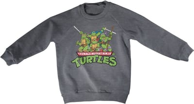 Teenage Mutant Ninja Turtles Teeange Mutant Ninja Turtles Distressed Group kindersweatshirt, donkergrijs gemêleerd