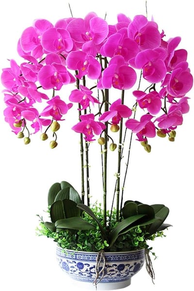 Kunstorchidee Phalaenopsis - Nepbloemen Potplant - Huisdecoratie - Realistisch Vakmanschap - 65 cm Hoogte - Roze