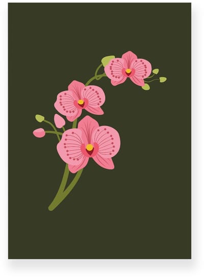 Poster 20x30 cm - Orchidee - Bloemen - Groen - Roze - Minimalistisch - Botanisch - Muurdecoratie - Wanddecoratie