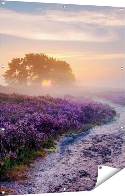 Gards Tuinposter Pad in de Weide van de Veluwe - 90x120 cm - Tuindoek - Tuindecoratie - Wanddecoratie buiten - Tuinschilderij