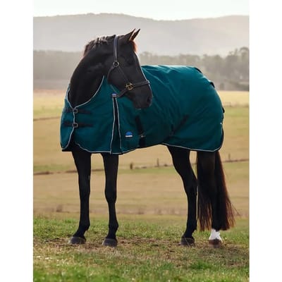 Outdoor paardendeken Weatherbeeta ComFiTec Classic Turnout 50g