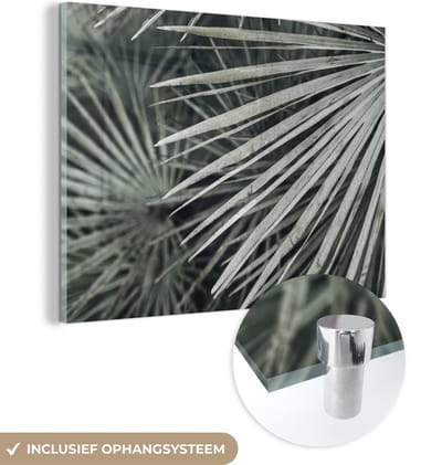 MuchoWow® Glasschilderij 120x90 cm - Schilderij acrylglas - Bladeren - Groen - Palm - Foto op glas - Schilderijen