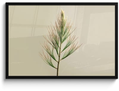 Poster in lijst - Fotolijst 90x60 cm - Posters - Dennentak - Naaldvormige bladeren - Lichtgroen - Posterlijst zwart - Decoratie - Wanddecoratie woonkamer - Muurdecoratie slaapkamer