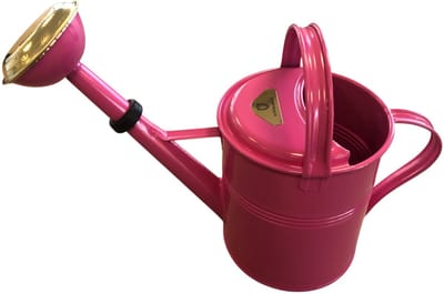 Dutchlander Metalen gieter 9 liter - thermisch verzinkt - messing broes - heidepaars - Engelse stijl