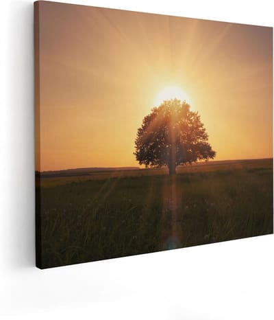 Artaza Canvas Schilderij Zonsondergang - 50x40 cm - Wanddecoratie Boom - Muurdecoratie Landschap - Kamer Accessoires Natuur