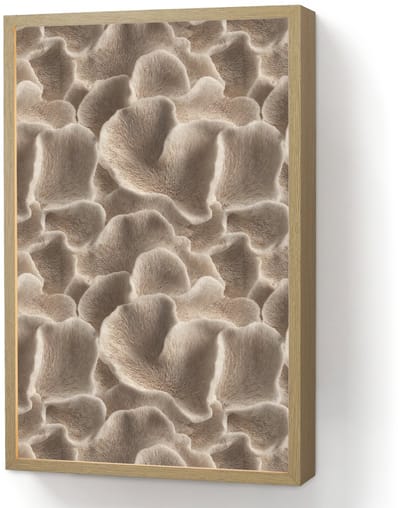 Wandlamp 40x60 cm - Oplaadbaar - Waaiervorm - Beige - Vezel textuur - Wandlampen binnen woonkamer - Slaapkamer lamp - Decoratieve nachtlamp - Vloerlamp draadloos