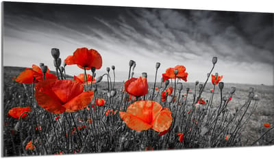 TMK ArtDeko - Beschermplaat voor Kookplaat - 90x52 cm - Maki - Gehard Glas