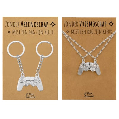 BFF Ketting + Sleutelhanger voor 2 'Zonder Vriendschap mist een dag zijn kleur' - Controller - Bundel op Cadeau Kaartje - Zilverkleurig - Vriendschap Symbool - Pax Amare