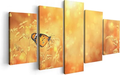 Artaza Canvas Schilderij Vijfluik Oranje Vlinder In Het Oranje Veld - 100x50 - Foto Op Canvas - Canvas Print