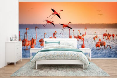 Behang - Fotobehang Vogel - Flamingo - Water - Zonsondergang - Roze - Breedte 535 cm x hoogte 300 cm