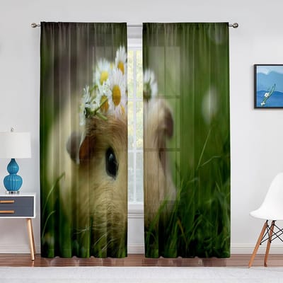 Schattig Cavia Transparant Voile Gordijn Cavia Lief Huisdier Raam Chiffon Tule Gordijnen voor Woonkamer Keuken Slaapkamer Decoratie Draperieën 1 PCS W100XH250cm&Grommet Top