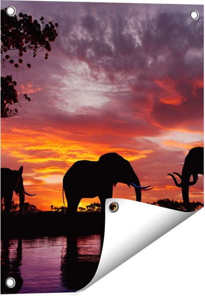 Gards Tuinposter Olifanten tijdens Zonsondergang - Silhouet - 40x50 cm - Tuindoek - Tuindecoratie - Wanddecoratie buiten - Tuinschilderij