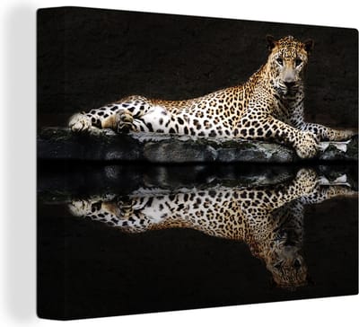 Canvas schilderij - Luipaard - Dieren - Zwart - Reflectie - Schilderijen op canvas - Canvasdoek - 80x60 cm - Foto op canvas - Wanddecoratie