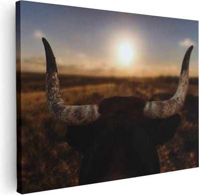 Artaza Canvas Schilderij Stier - 40x30 cm - Klein - Wanddecoratie Dierenkop - Muurdecoratie Zon - Kamer Accessoires