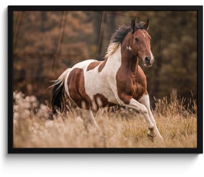 Poster in lijst - Fotolijst 80x60 cm - Posters - Paard - Bruin - Gras - Posterlijst zwart - Decoratie - Wanddecoratie woonkamer - Muurdecoratie slaapkamer