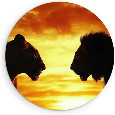 Saammp Muurcirkel Hout - Leeuwen - Zonsondergang - Oranje - Natuur - Dieren - Ø 90 - Wandcirkel - Wanddecoratie Cirkel - muurdecoratie Woonkamer - Slaapkamer decoratie - Rond Schilderij