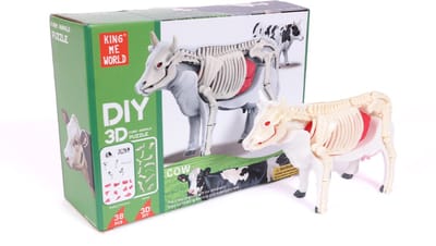 PIA Soft Toys - 3D Anatomie - Koe