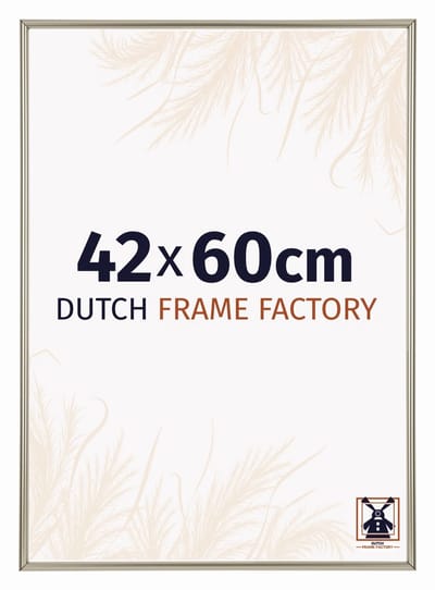Fotolijst 42x60 cm - Kunststof - Champagne - Angers