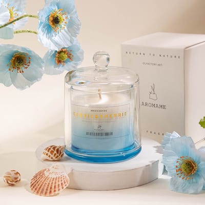 AROMAME Luxe Geurkaars - Cedric en Sherrie - In Glazen Stolp - Return to Nature - Blauw/Wit - Cadeau - Geurkaars - Decoratie