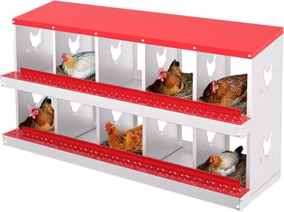 HoerFuriy Nestkast voor Kippen - 10 Vakken - Rood - Hoogwaardig Verzinkt Staal - Met Wegrolsysteem en Zitstok - Wandmontage of Vrijstaand