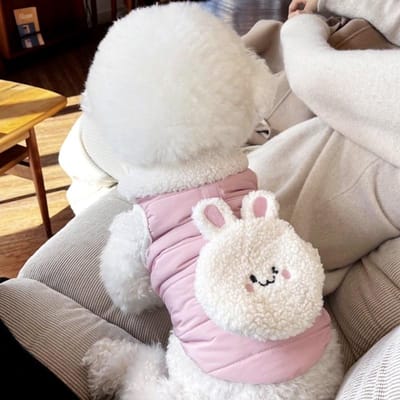 Pluche Kraagjas voor Huisdieren Verdikte Pluche Winter Teddy Kat Schnauzer Beer Yorkshire Kleine Hond Herfst Winter Kleding puppy kleding XL