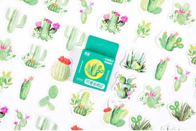 Botanische Cactus Stickers (45 stuks) – Bullet Journal, Planner & Scrapbook Stickers – Cadeau onder €10