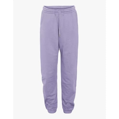 Jogging Colorful Standard Organic Purple Jade