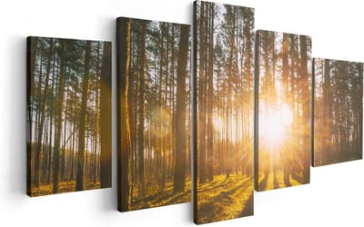 Artaza Canvas Schilderij Vijfluik Zonsopkomst In Het Bos Tussen De Bomen - 100x50 cm - Wanddecoratie Woonkamer - Schilderijen - Muurdecoratie