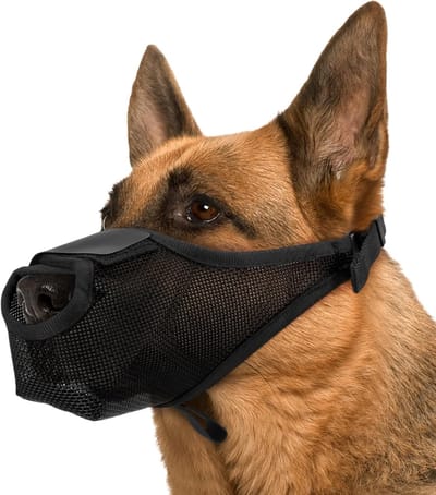 Honden muilkorf - Anti-blaf bijt - Veilig wandelen - Verstelbaar ademend - Maat M - Zwart