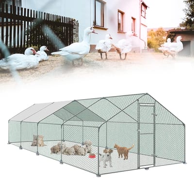 NAIZY Vrije uitloopren 3x8x2m volière kippenhok metaal 6m² pluimveekooien met zonwerend dak, kippenhek, deur & klink buitenren kippenhokken stabiele pluimveestallen voor kleine dieren & planten