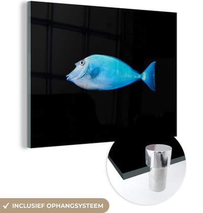 MuchoWow® Glasschilderij 160x120 cm - Schilderij acrylglas - Vis - Zeedieren - Zwart - Foto op glas - Schilderijen