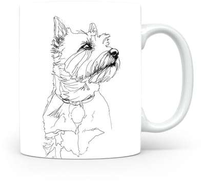 Beker Norwich Terrier