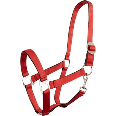 Halster voor paarden Premiere Equitation Soft Economic