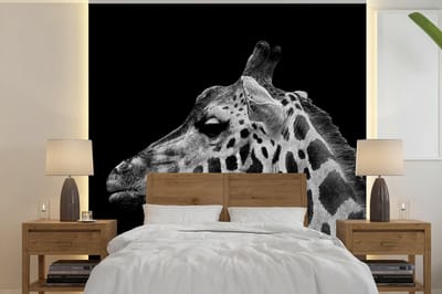 Behang - Fotobehang Dieren - Giraffe - Zwart - Wit - Breedte 350 cm x hoogte 350 cm