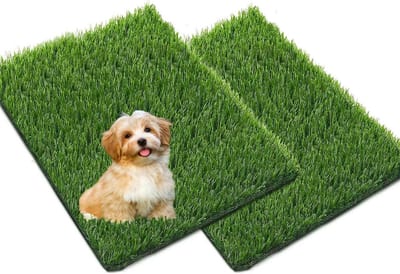 Kunstgras Mat - Honden Toilet - Binnen En Buiten - Geurbestendig Materiaal - 46x585 cm - Groen