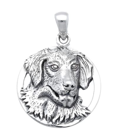 Zilveren Golden retriever in ring kettinghanger