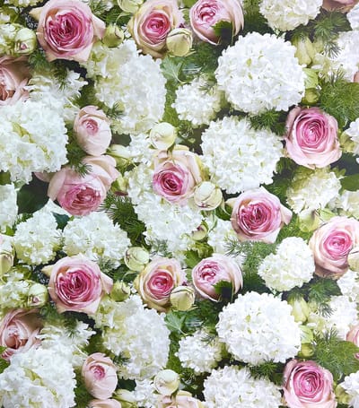 Hortensia's & Rozen Bloemen inpakpapier cadeaupapier - 300 x 70 cm - 3 Rollen