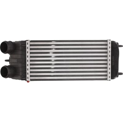 Intercooler THERMOTEC DAC003TT