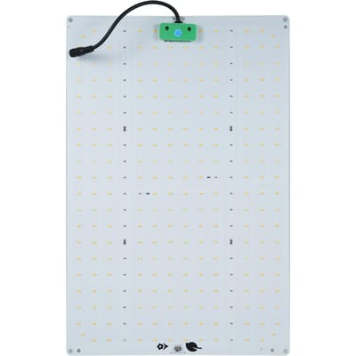 Lampe de croissance Quantum Board à intensité variable de 120 W, éclairage de croissance des plantes d'intérieur à spectre complet pour la croissance et la floraison US