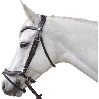 Anatomische hoofdstellen Canter Baloubet