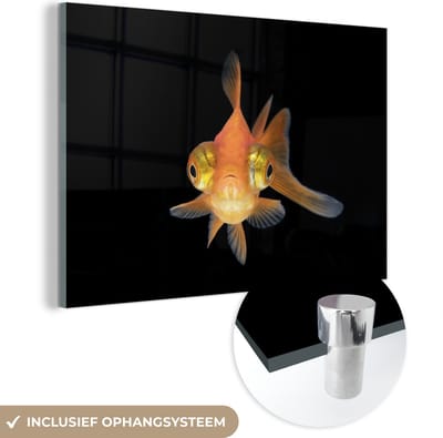 MuchoWow® Glasschilderij 120x80 cm - Schilderij acrylglas - Goudvis - Zeedieren - Ogen - Foto op glas - Schilderijen