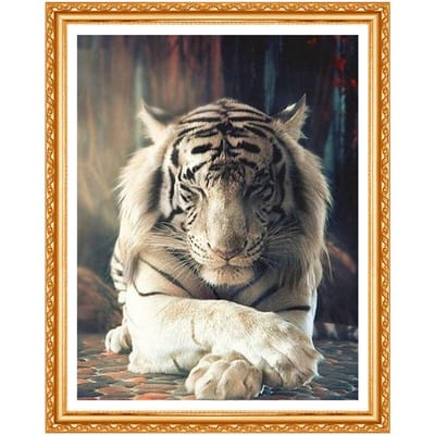 Diamant Dieren Volledige Ronde Boor Decoratie Thuis 5D DIY Borduren Diamant Schilderij Tijger 20X30CM black