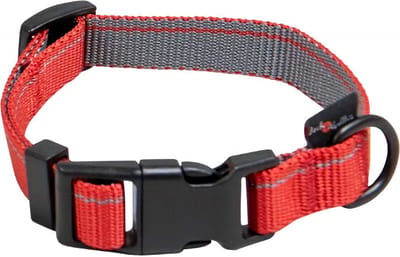 Jack and Vanilla Honden halsband met kliksluiting - Maat M - Verstelbaar 24 / 35 cm - Nylon halsband hond - Stripe - Rood