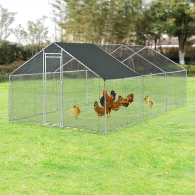Kippenren Wels buitenren 3x6x2 m donkergroen pro.tec