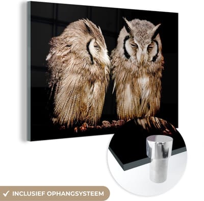 MuchoWow® Glasschilderij 120x80 cm - Schilderij acrylglas - Uil - Vogel - Zwart - Foto op glas - Schilderijen