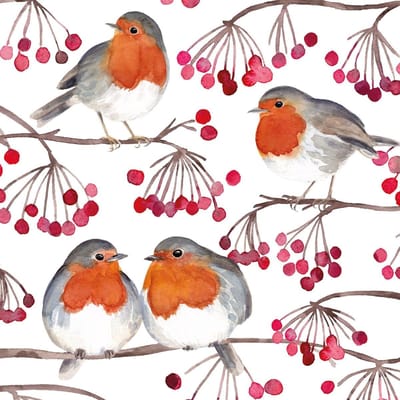 PPD - Lunch servetten - Birds & Berries