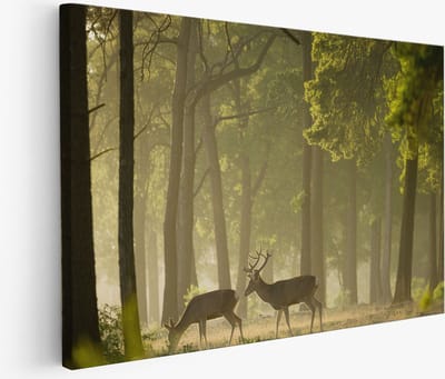 Saammp Muurcirkel Hout - Uil tussen de bloemen - Natuur - Dieren - Ø 90 - Wandcirkel - Wanddecoratie Cirkel - Muurdecoratie Woonkamer - Slaapkamer decoratie - Rond Schilderij