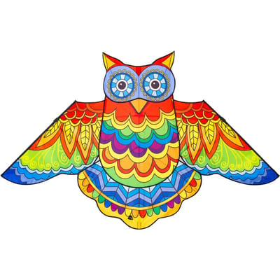 Kindervlieger HQ Jazzy Owl Kite 105103 Regenboog 145 x 85 cm